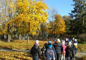 Uczniowie klas drugich podziwiają jesienny koloryt drzew.