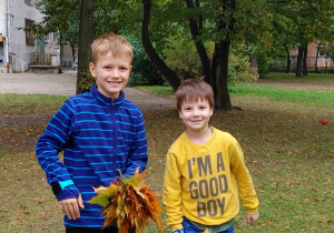 Chłopcy z jesiennym bukietem liści