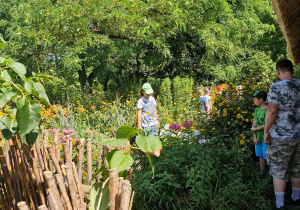 Warsztaty w Ogrodzie Botanicznym