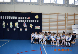Zdjęcie 10 na 17