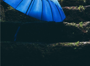 Konkurs "Deszczowa parasolka"