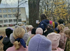 Gra terenowa „Skrzyniowy Las” dla klas 1-3